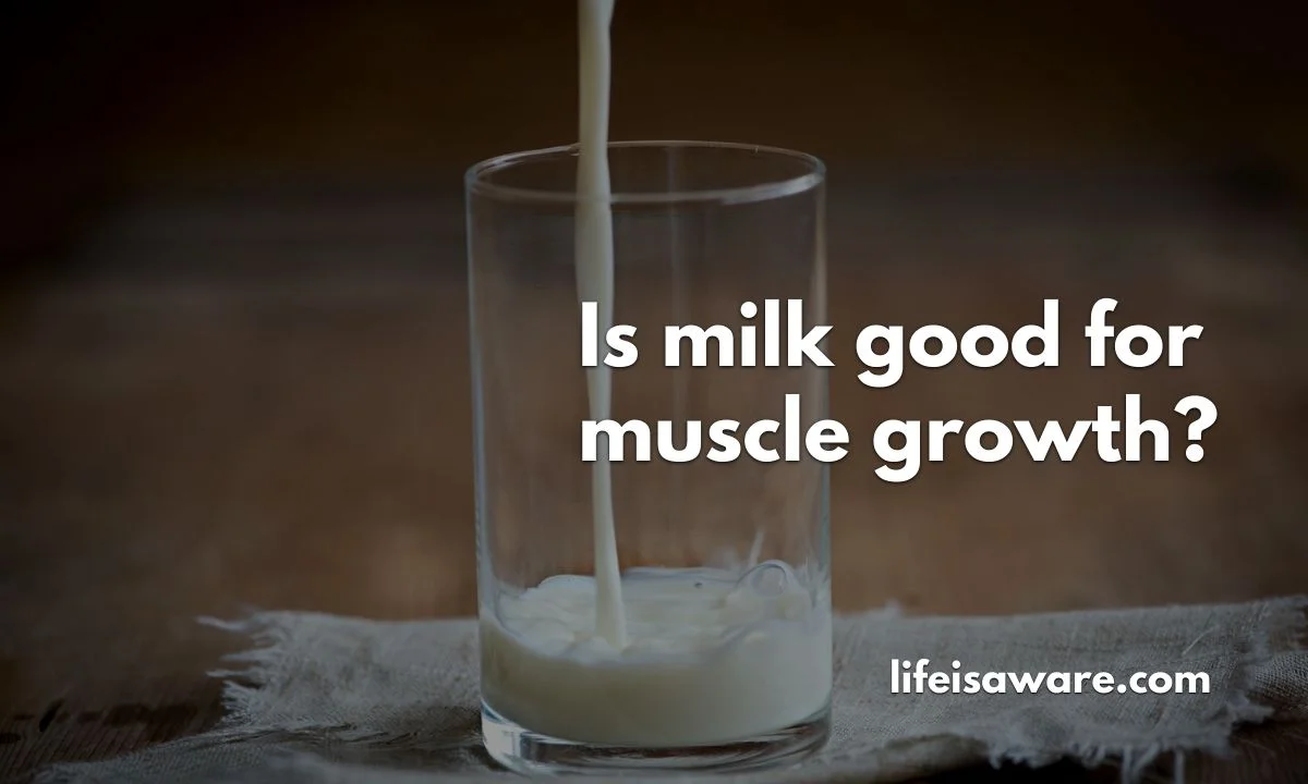 Is milk good for muscle