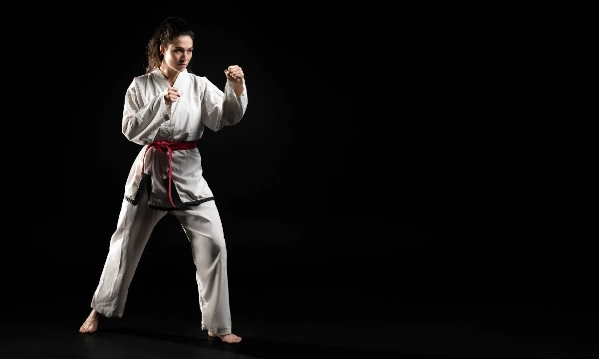 Read more about the article How to Learn Mixed Martial Arts at Home?
