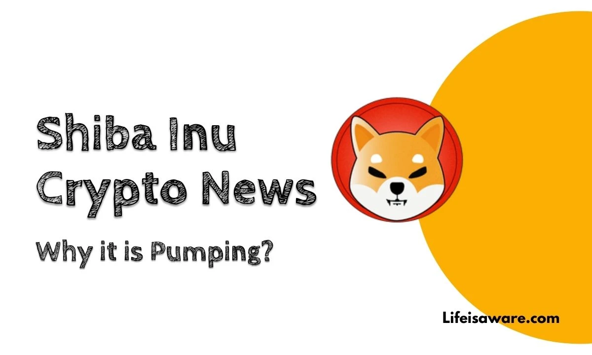 Read more about the article Shiba Inu Crypto News: Why it is Pumping?